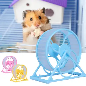 בעלי חיים קטנים, צעצוע, מקום עכברים ספורט צעצוע מנהל הספורט גלגלים